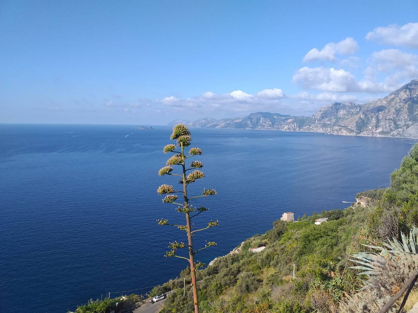 Hotel-Villa-Bellavista-General-view-43