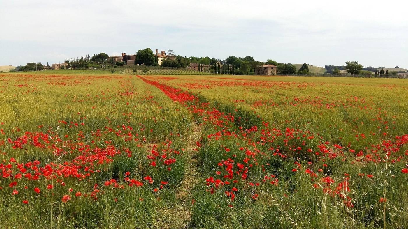 Hotel-1000-Miglia-General-view-1