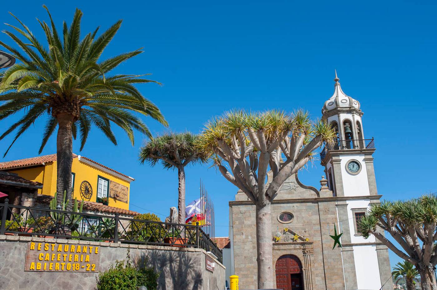 Senderos-de-Abona-General-view-6