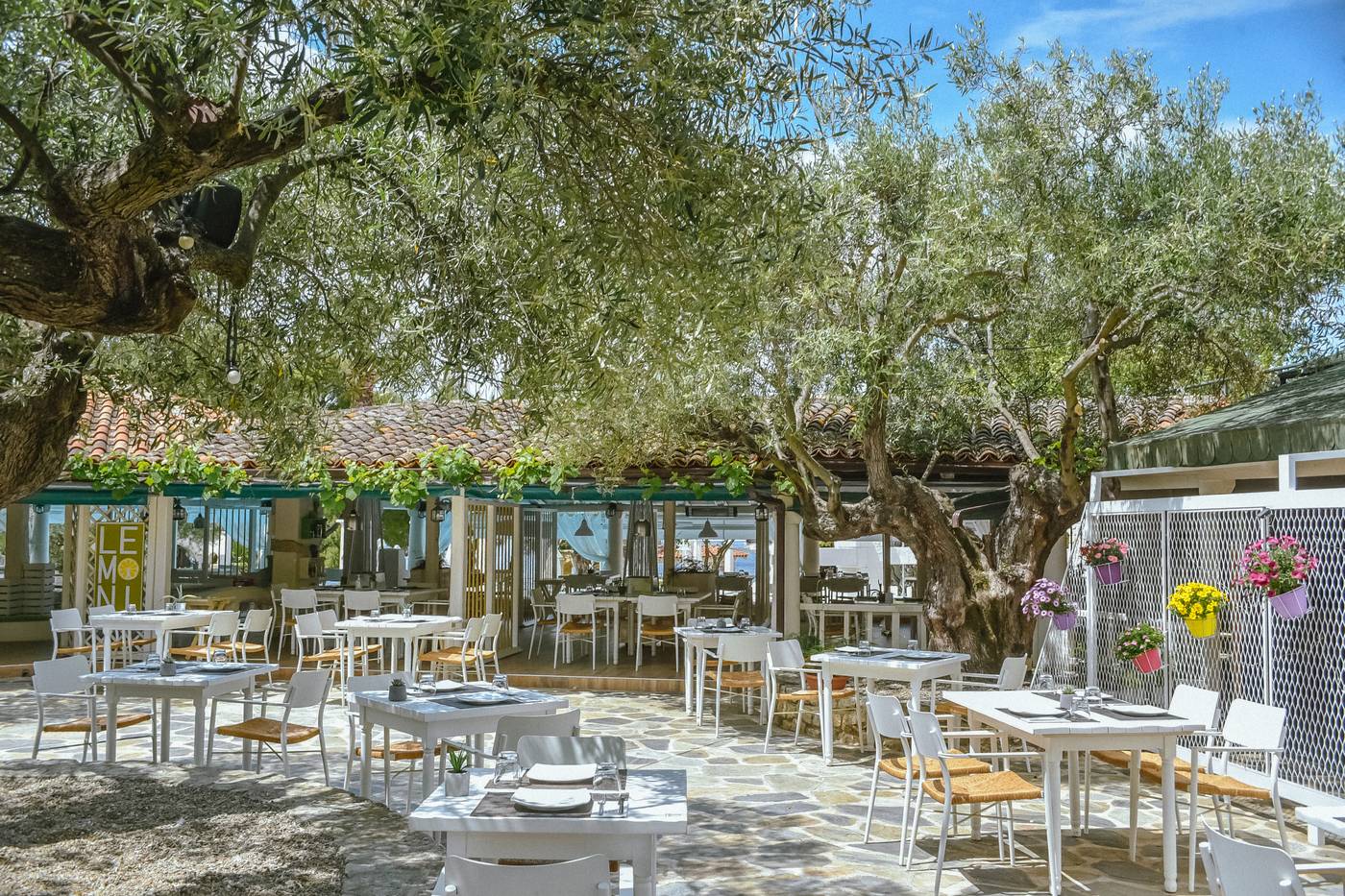 Athena-Pallas--Restaurant-18