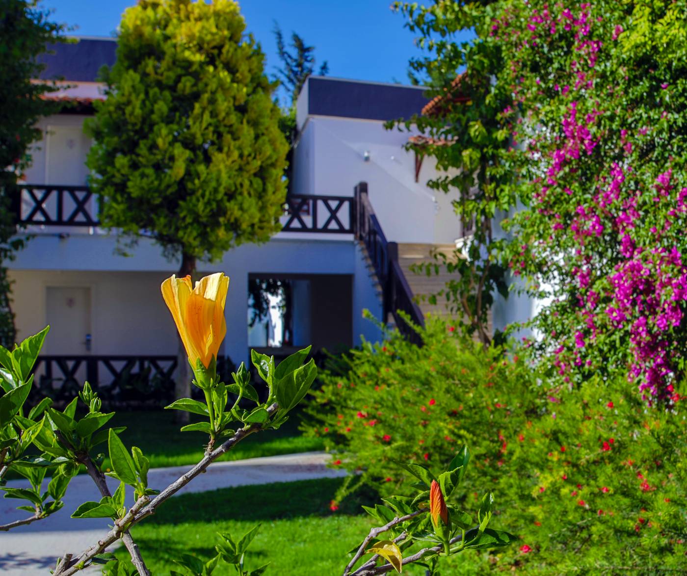 Bitez-Garden-Life-General-view-14
