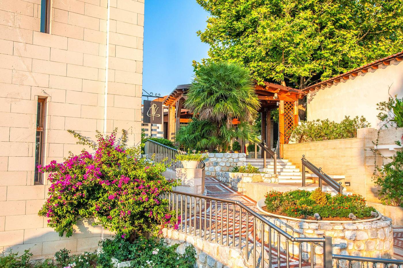 Athena-Pallas--General-view-16