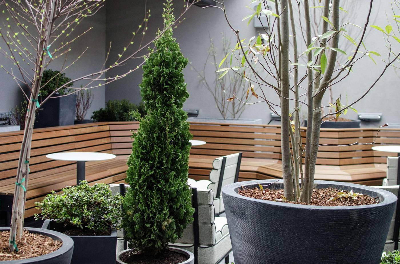 Freepoint-Hotel-Cambridge--a-Tapestry-Collection-General-view-28