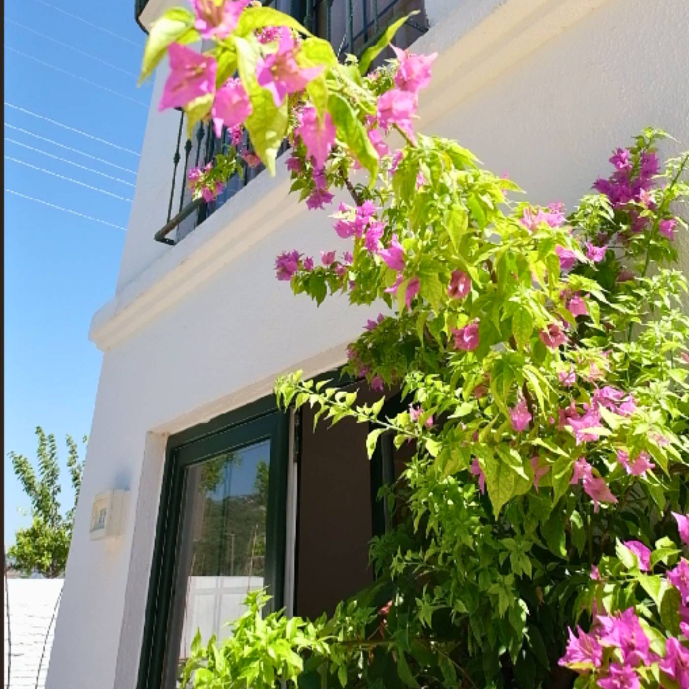 Club-Mel-Holiday-Resort-Room-20