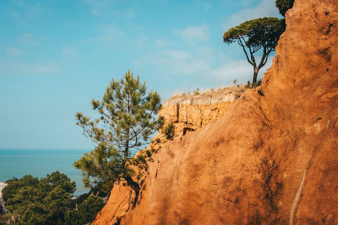 Pine-Cliffs-Hotel--a-Luxury-Collection-Resort-Beach-94