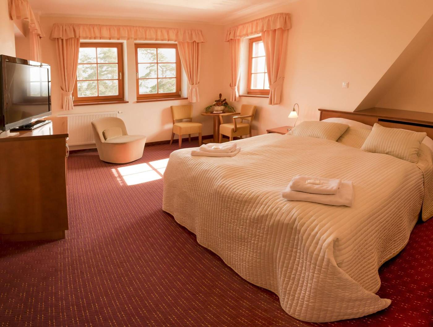 Hotel Vitkova Hora-Czech Republic-KARLOVY VARY-Room-9