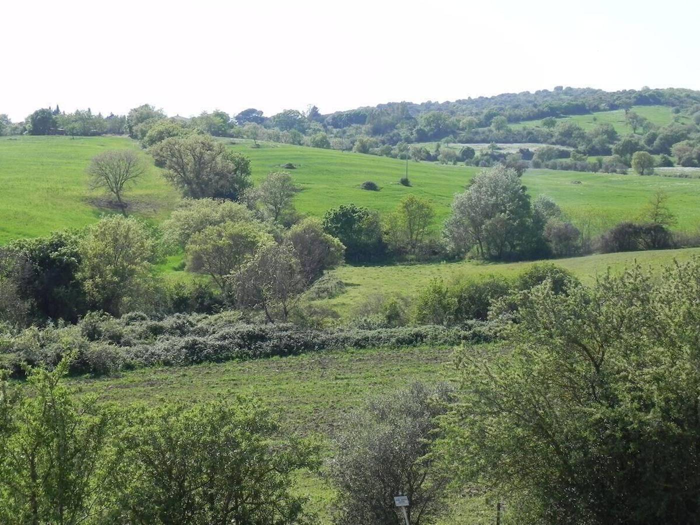 B&B Monte Di Bù-Italy-CAMPAGNATICO-General view-5