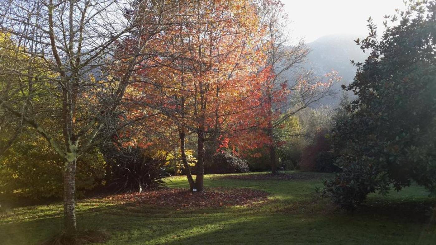 El Habana-Spain-LLANES-General view-1