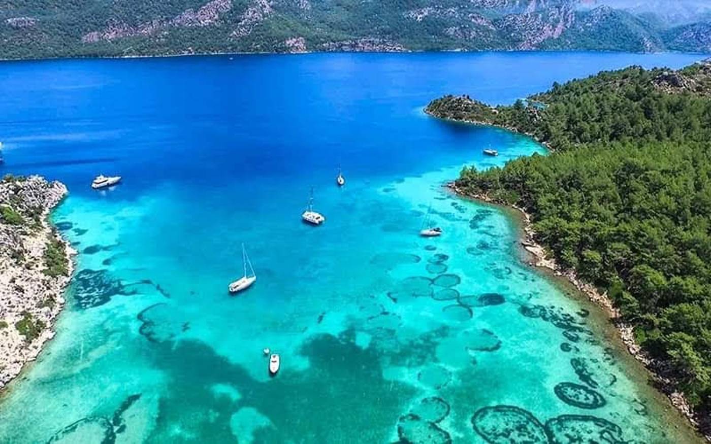 Albatros-Apartments-Beach-46