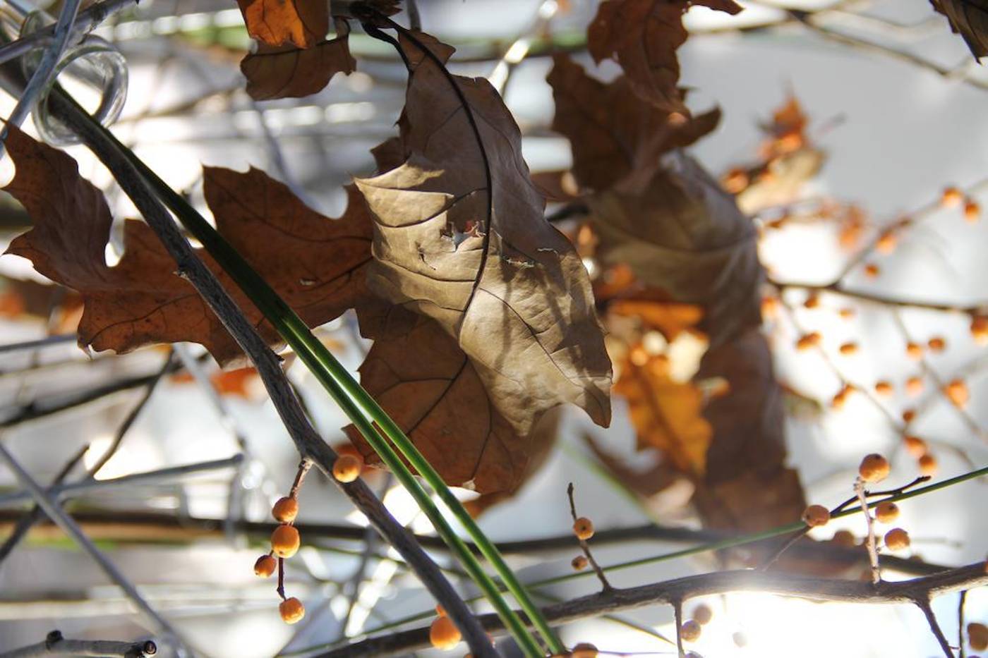Clarion Hotel Bergen Airport Terminal-Norway-BERGEN-General view-7
