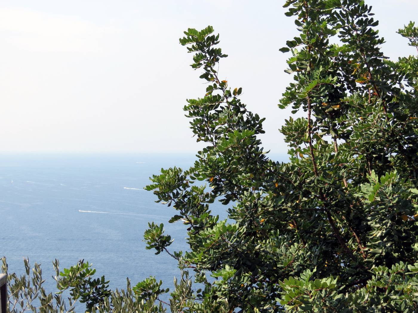 Villaggio-Baia-Serena-General-view-59