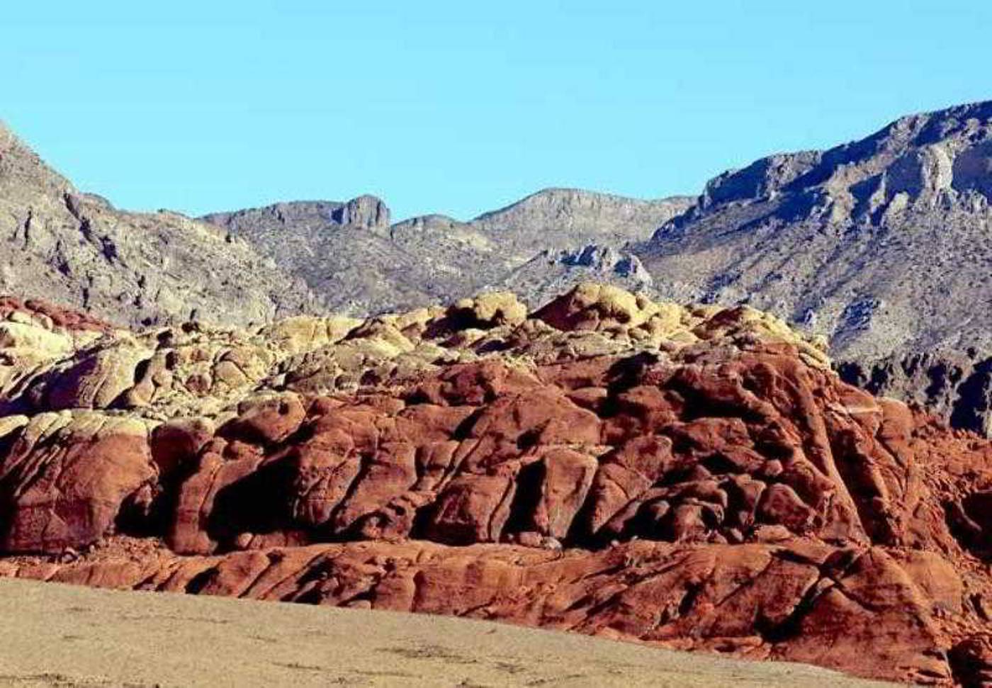 Fairfield By Marriott Inn & Suites Las Vegas Stadi-United States-Las Vegas-General view-9