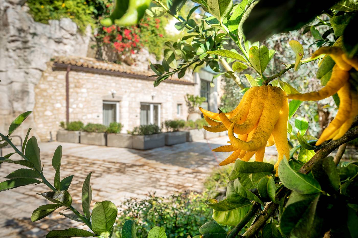 San-Giorgio-Palace-Hotel-Terrace-12