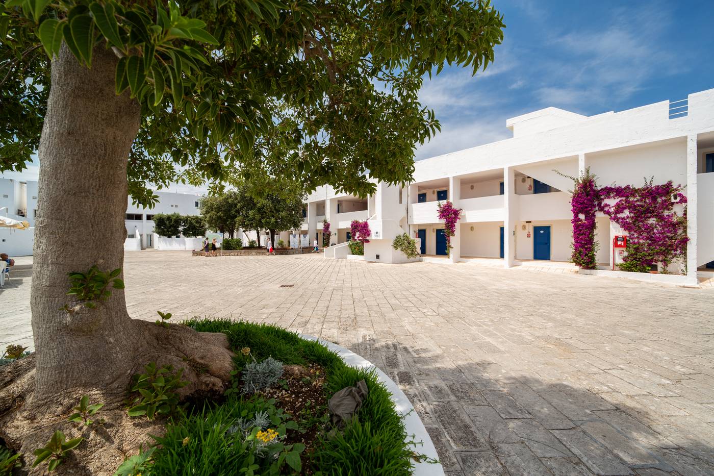 TH Ostuni - Ostuni Marina Village-Italy-Marina di Ostuni (BR)-General view-4