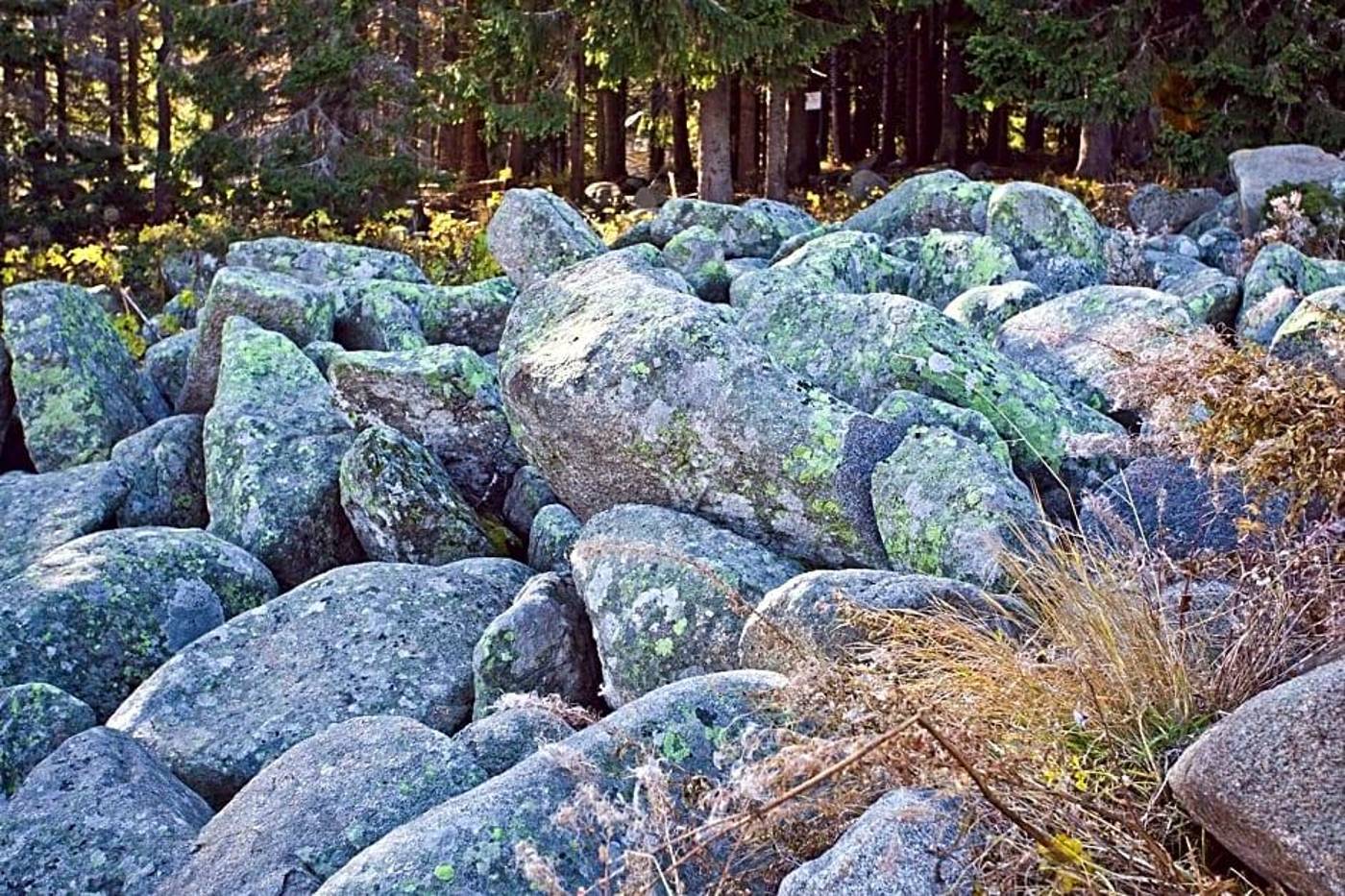 Vitoshko lale-Bulgaria-SOFIA-General view-4