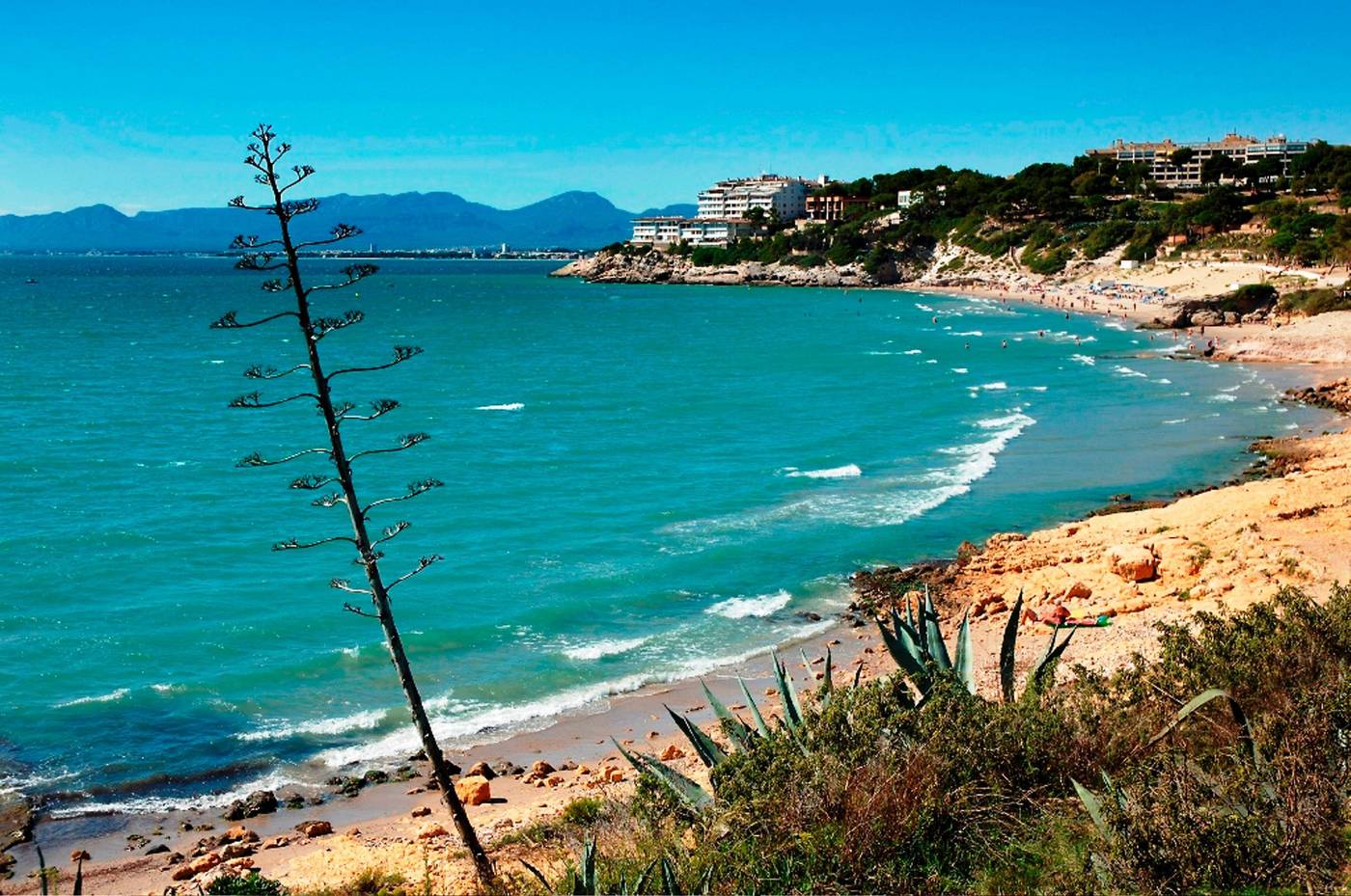 Villa-Dorada-Beach-38