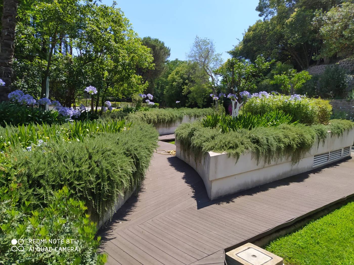 Il-Cantico-ST-Peter-Terrace-12