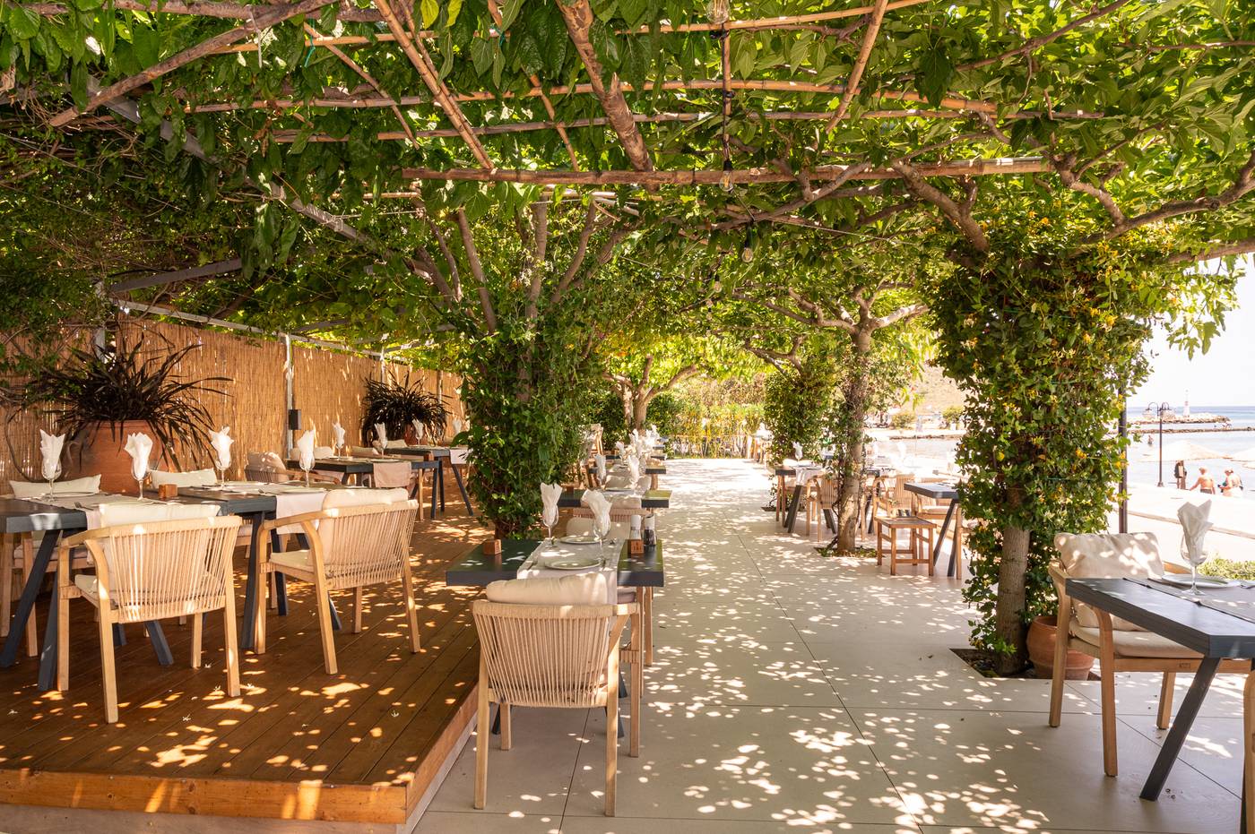 Corissia-Beach-Bar-10