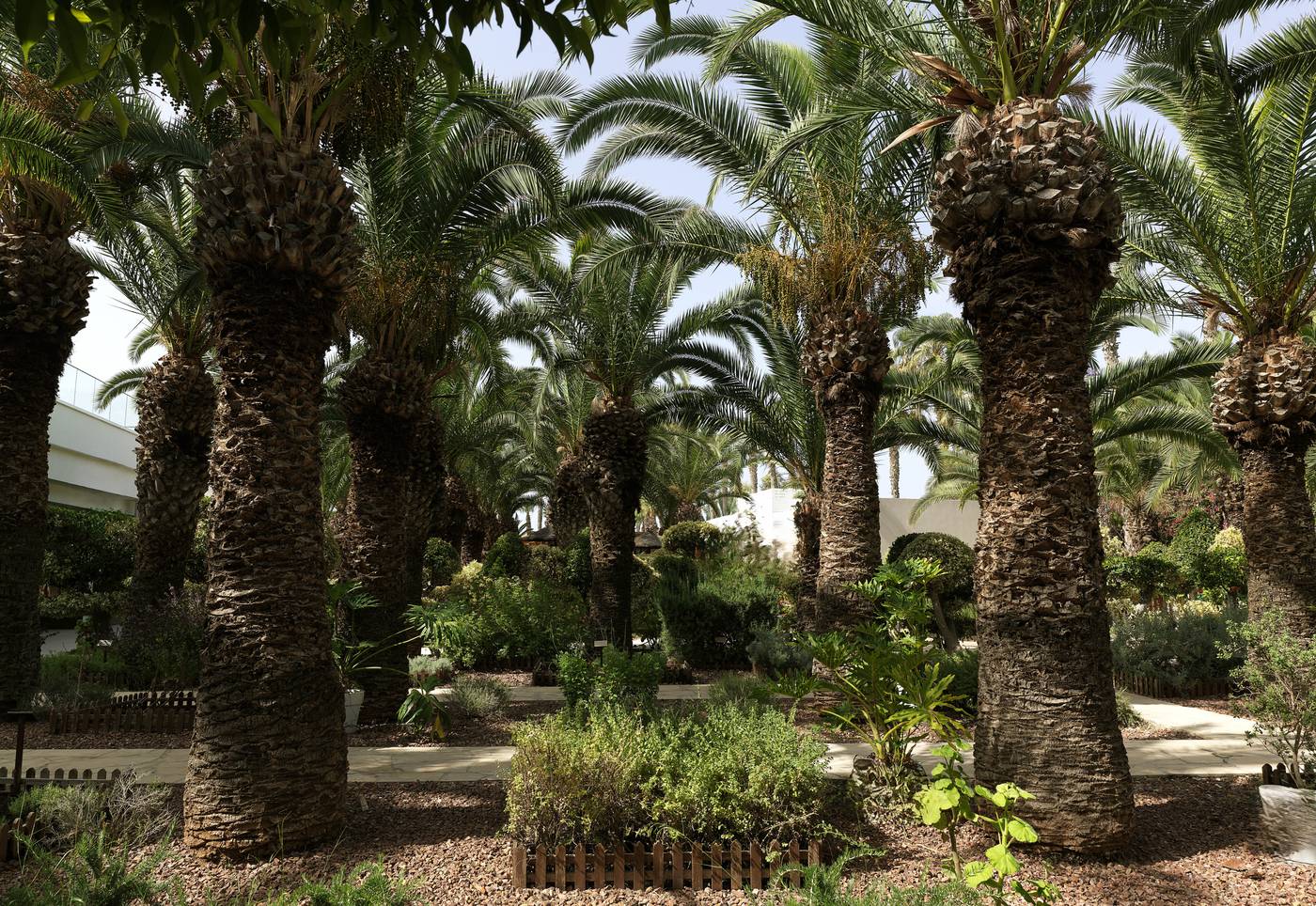 The-GrandResort-Limassol-Cyprus-by-Leonardo-Hotels-General-view-14