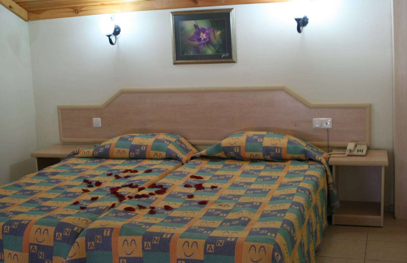 Ant-Apartments-Room-31