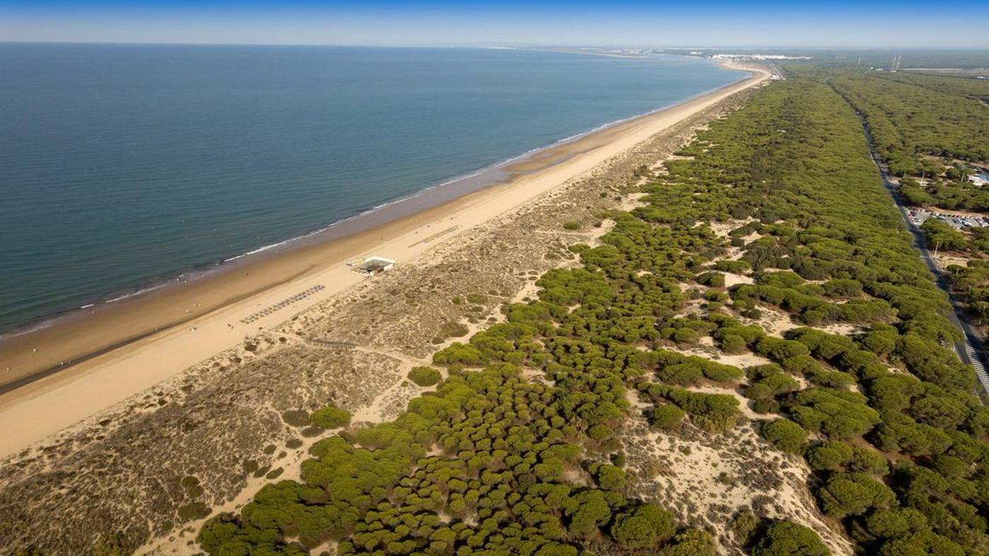 Barcelo-Punta-Umbr----a-Mar-General-view-85