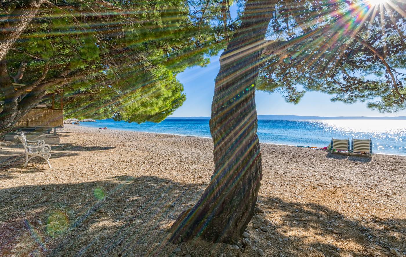 Bluesun-Hotel-Alga-Beach-65