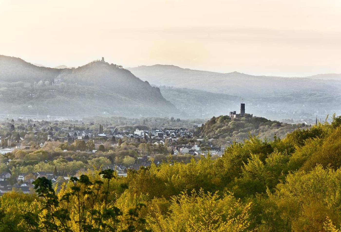 Dorint-Hotel-Venusberg-Bonn-General-view-32