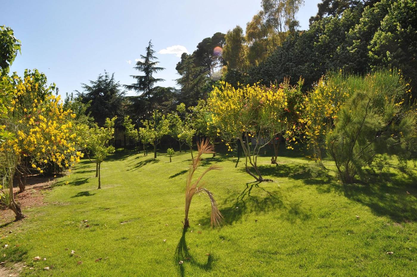 Mas-Passamaner-Terrace-21