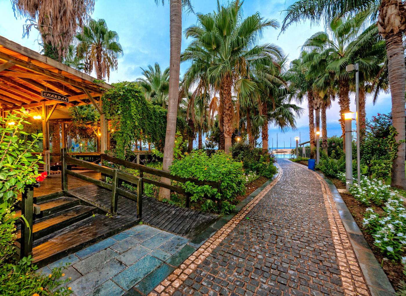 Arycanda-Kirman-Premium-Bar-19