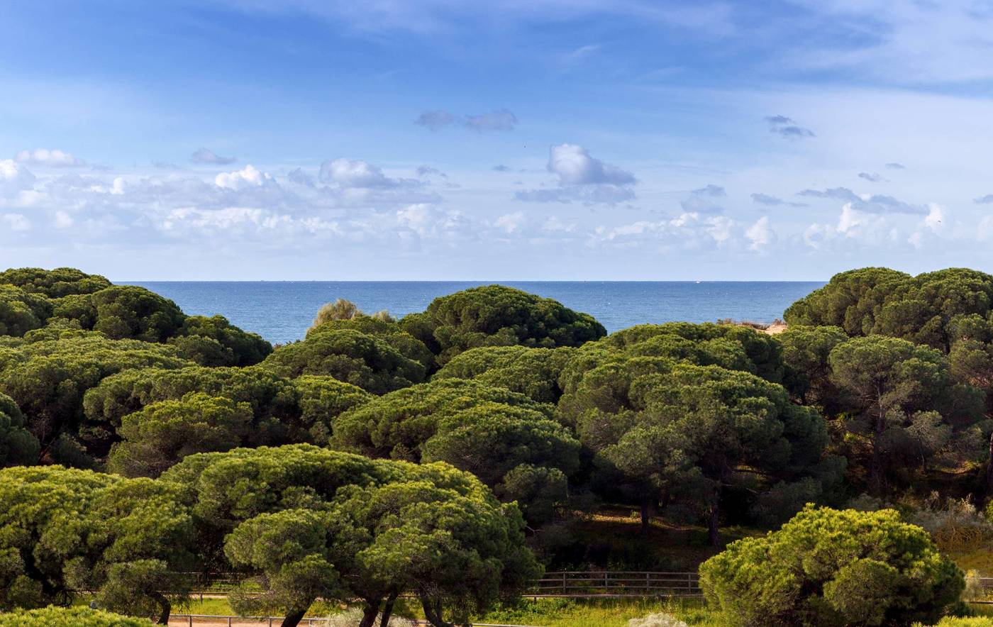 Barcelo-Punta-Umbr----a-Mar-General-view-86