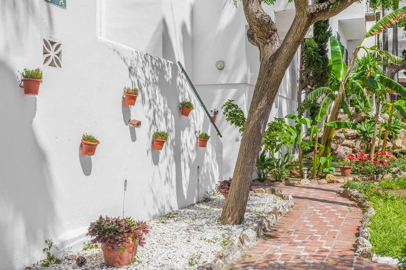 Royal-Oasis-Club-at-Pueblo-Quinta-General-view-14