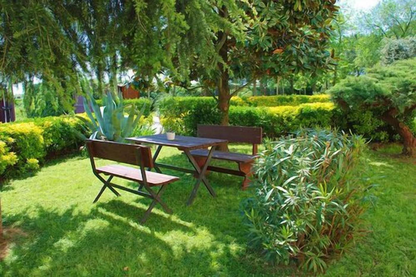 Airone-Pisa-Park-Sports-and-Entertainment-2