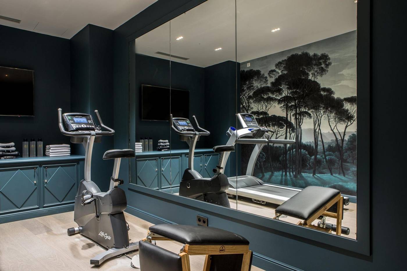 Charles-V-General-view-63