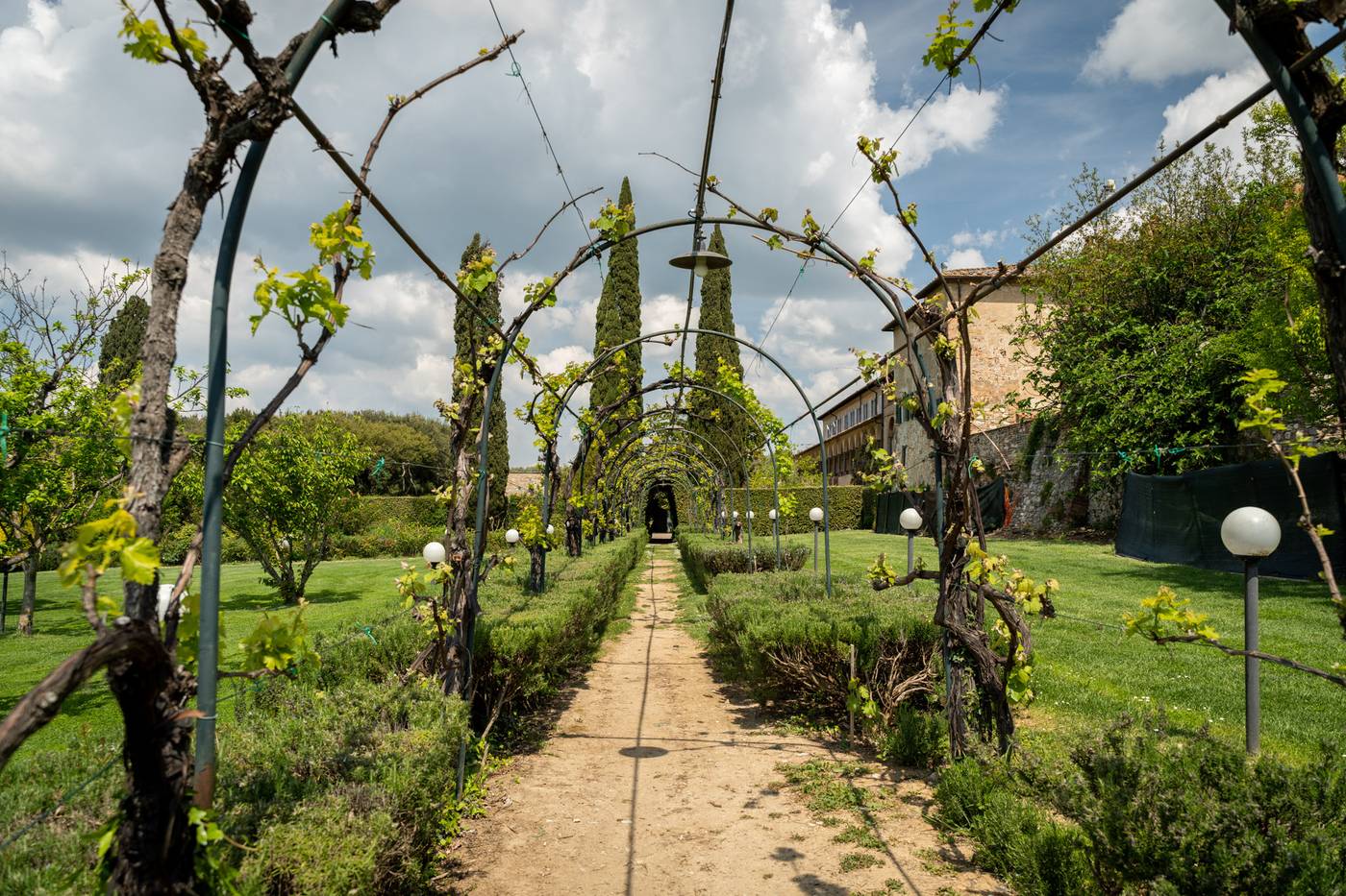La-Certosa-di-Pontignano-General-view-19