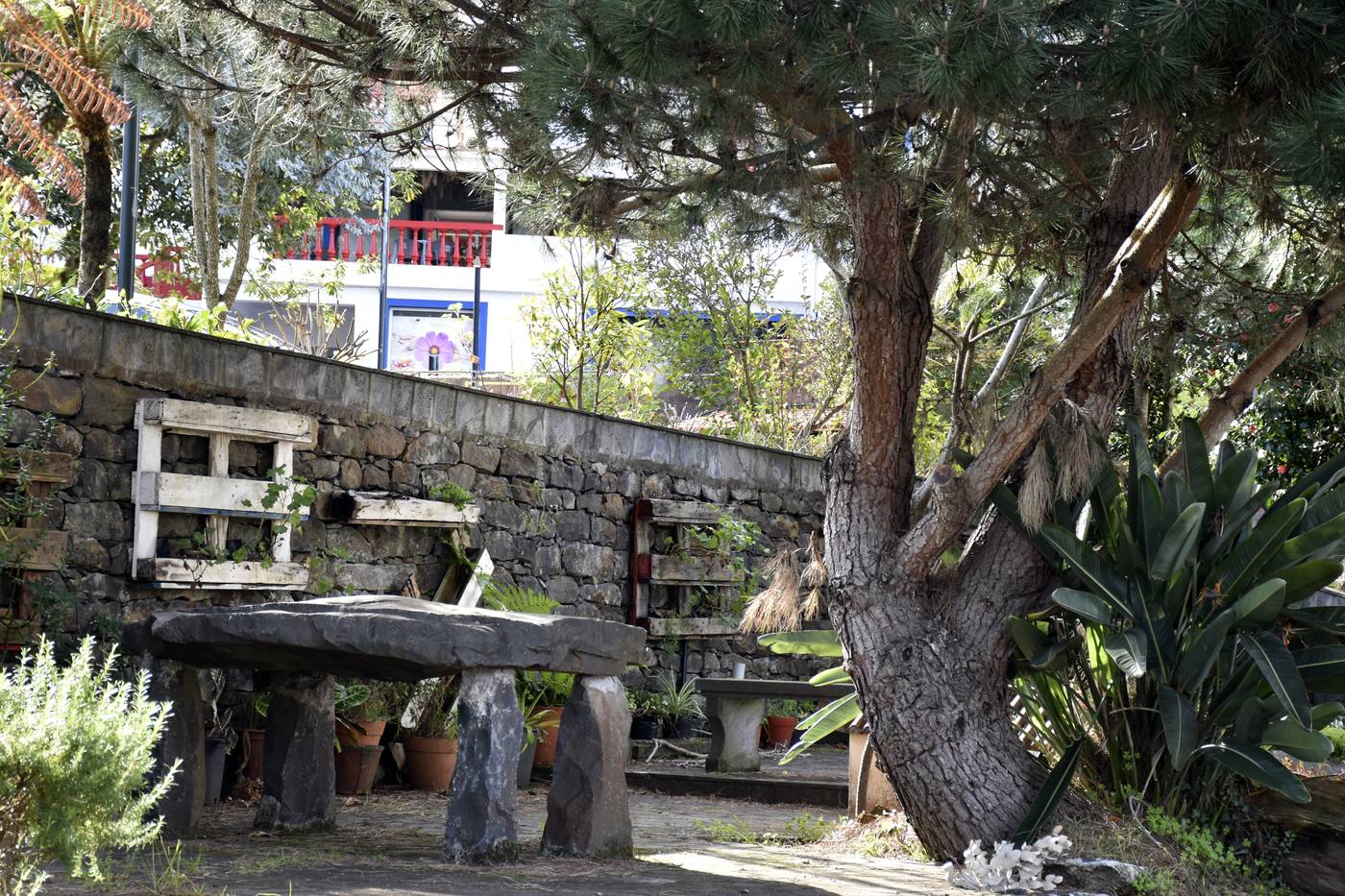 O-Colmo-General-view-8