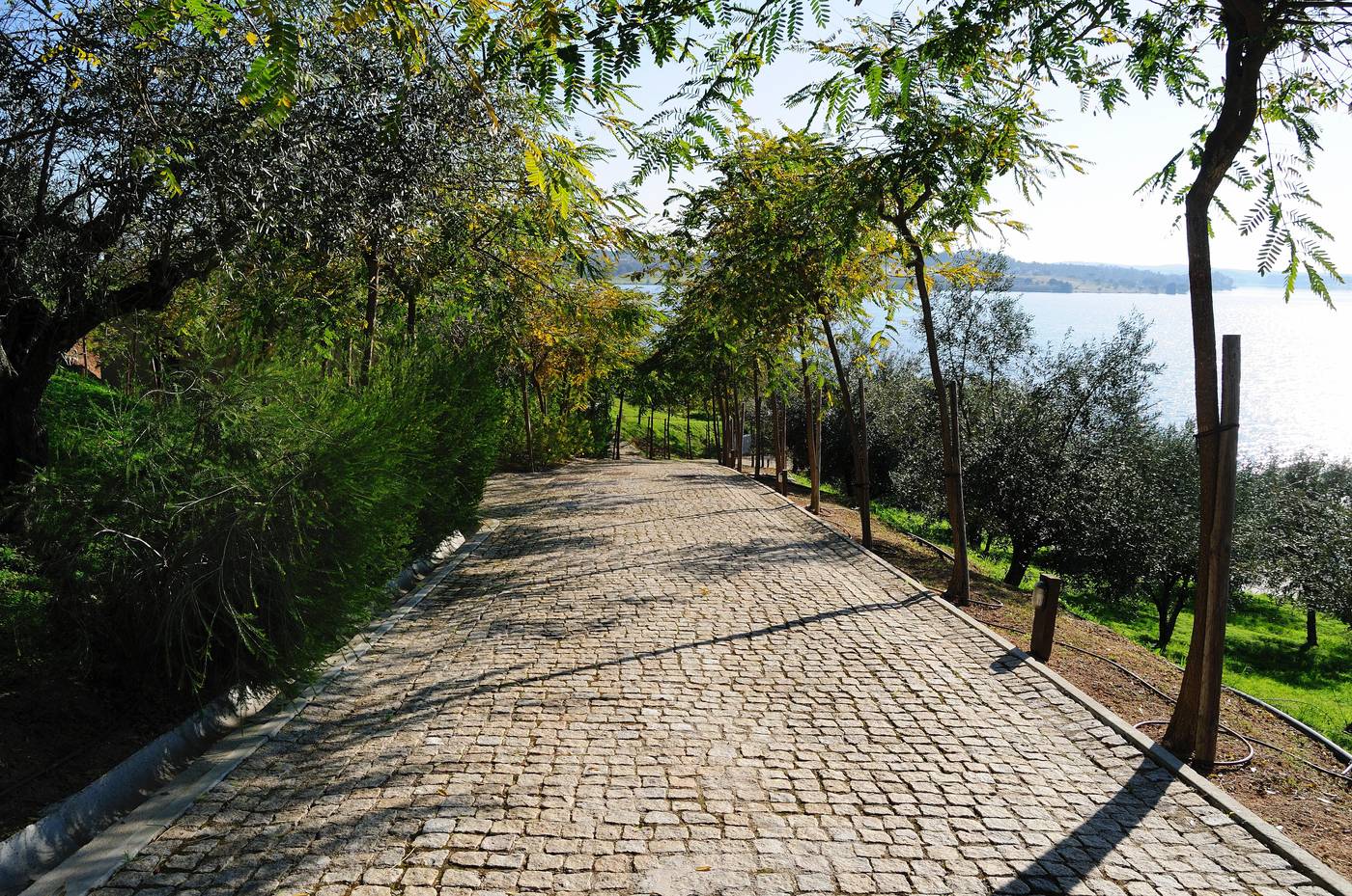 Montargil-Monte-Novo-General-view-25