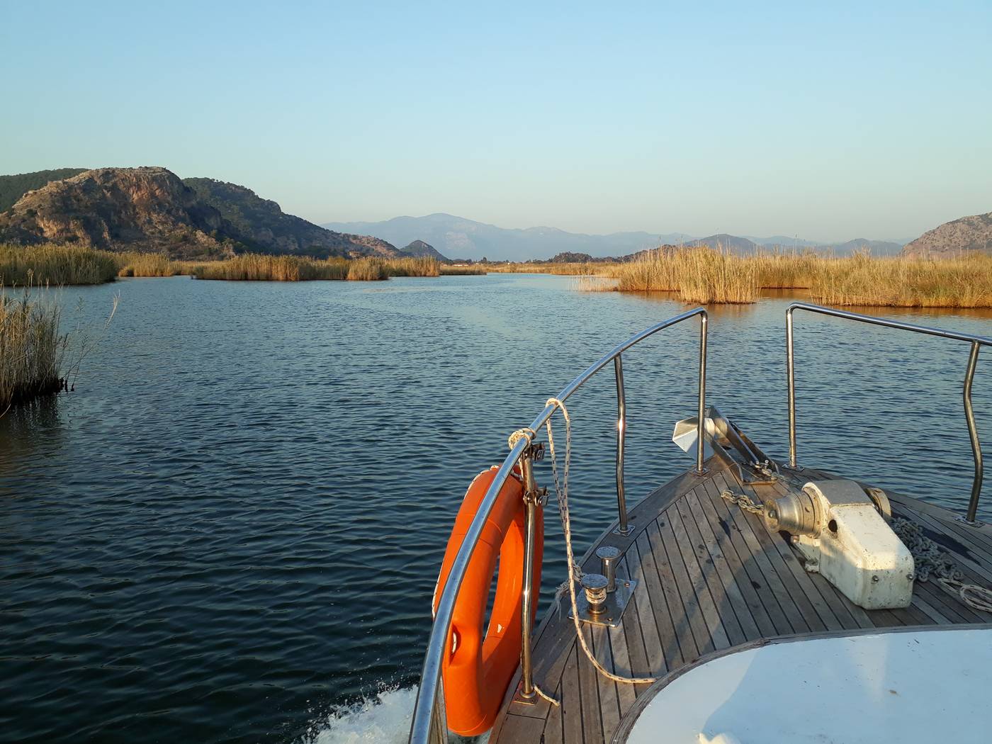 Dolphin-Apart-General-view-54