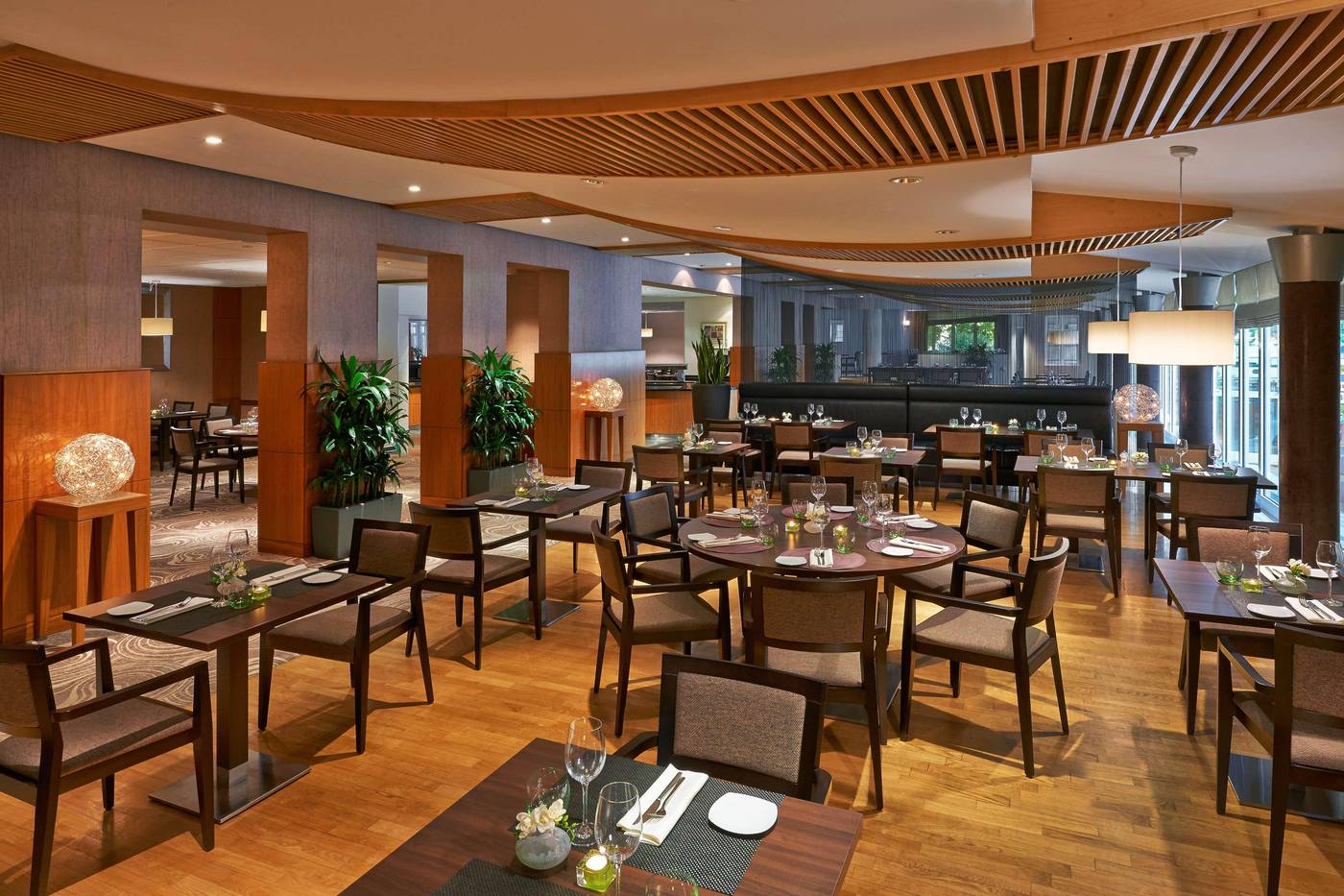 Dorint-Hotel-Bonn-Restaurant-51