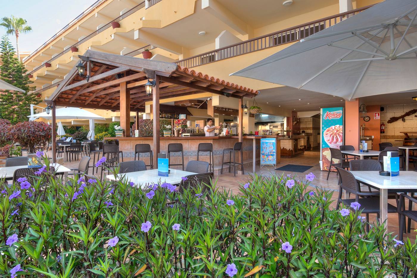 Hovima-Jardin-Caleta-Bar-12