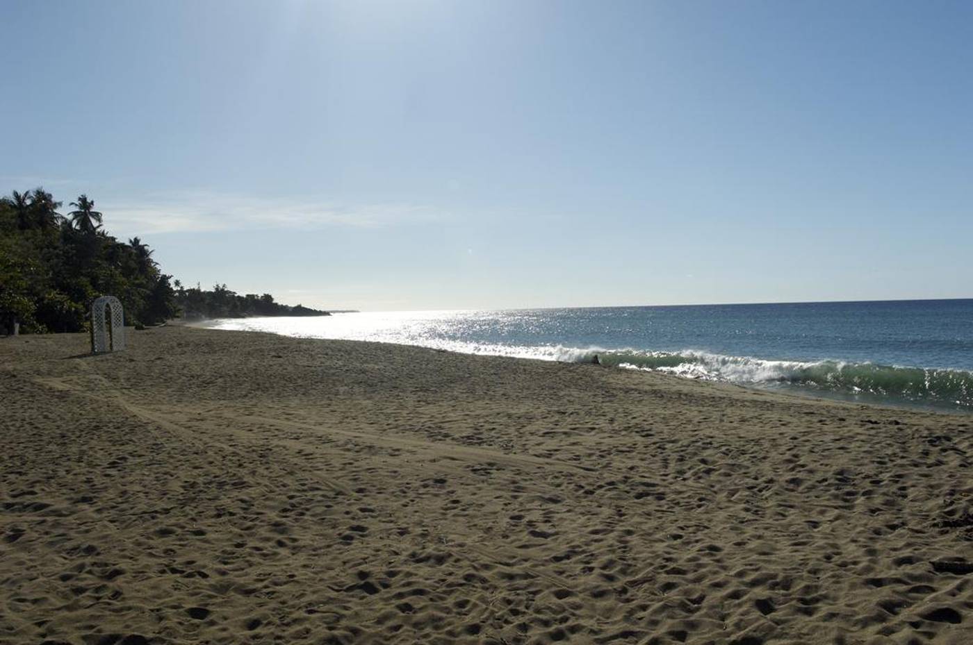 Starfish-Tobago-Beach-11