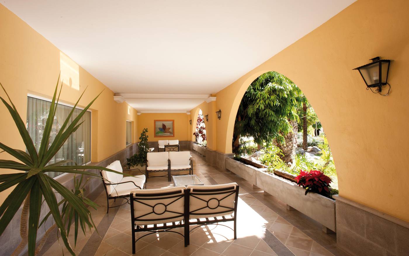 Palm-Oasis-Maspalomas-General-view-55