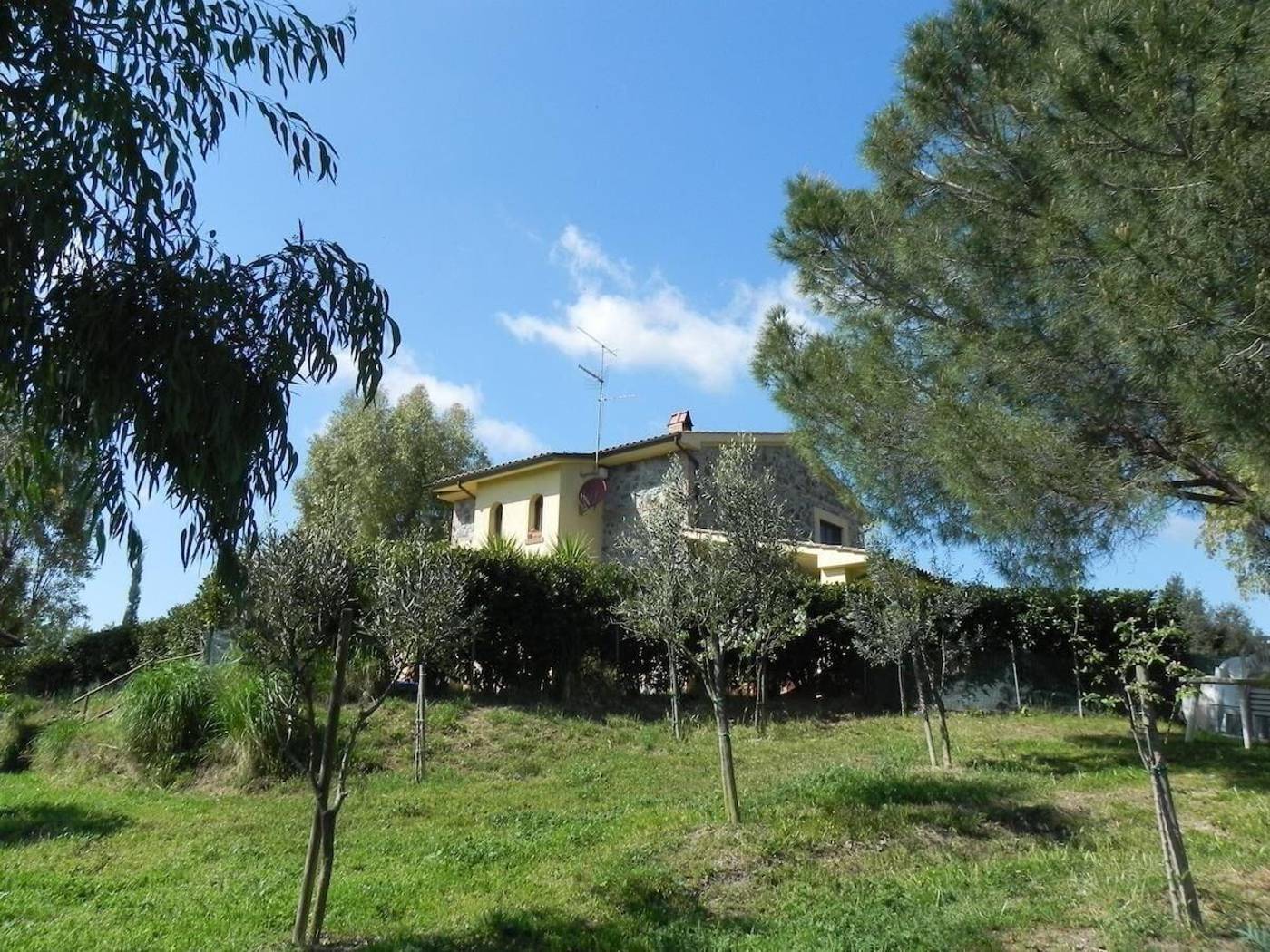 B&B Monte Di Bù-Italy-CAMPAGNATICO-General view-2