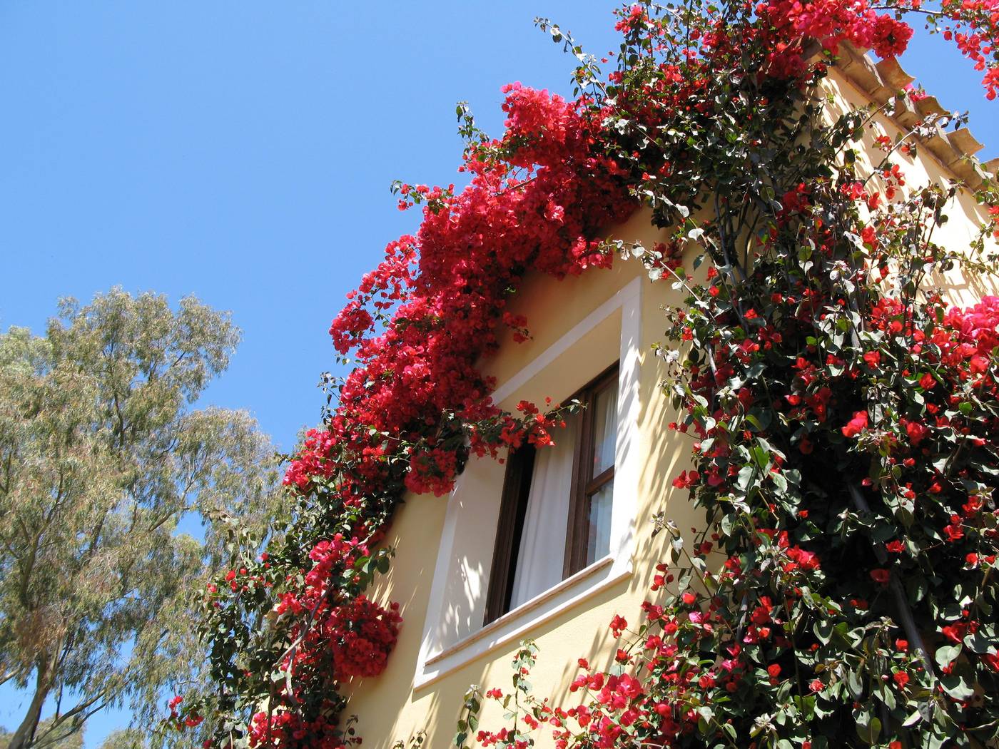 Borgo-Degli-Ulivi-Residence-General-view-9