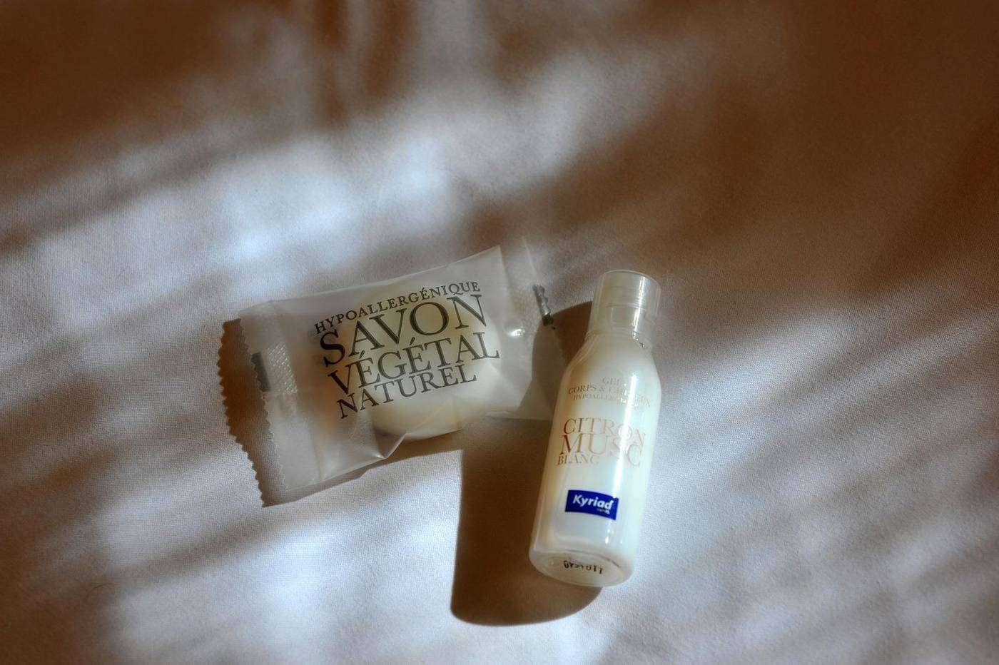 Kyriad Annecy Sud-France-Cran-Gevrier-General view-8