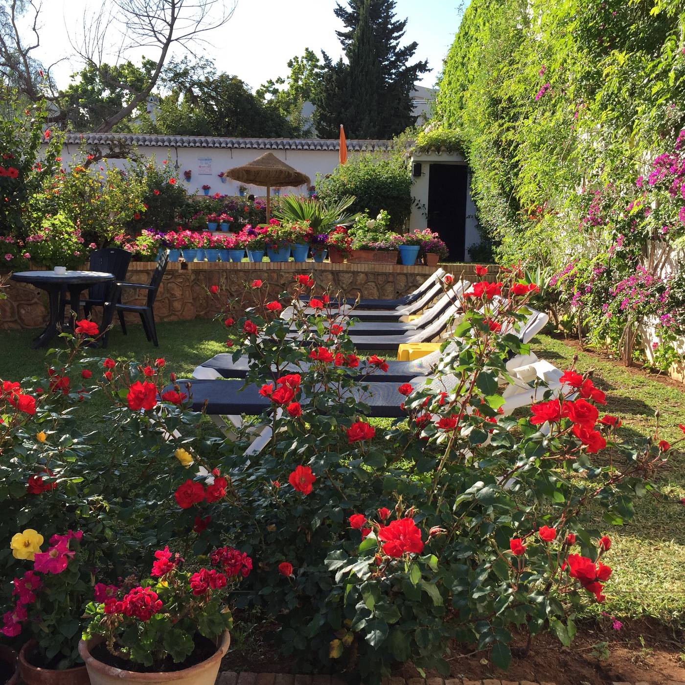 Carmen-Teresa-Terrace-17