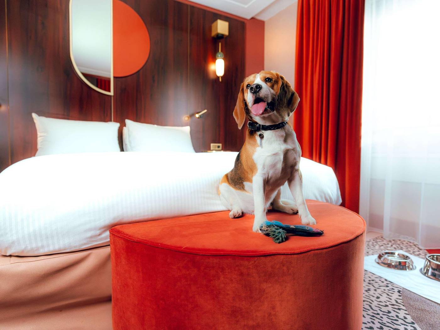 NEST-Paris-La-Defense---Mgallery-Room-55