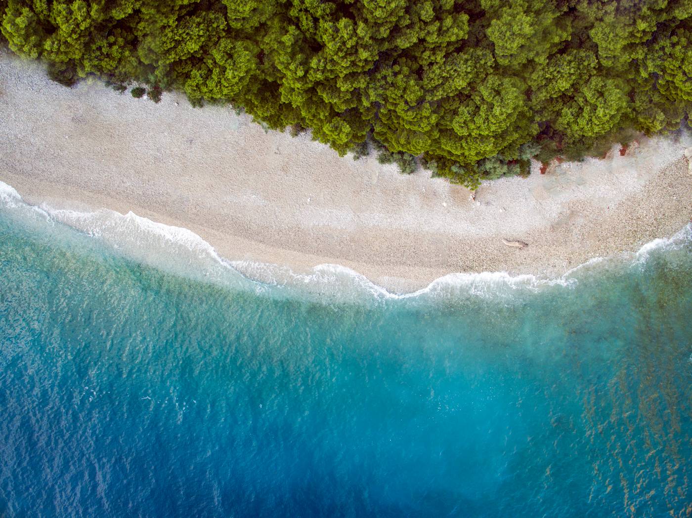 Bluesun-Holiday-Village-Afrodita-Beach-61