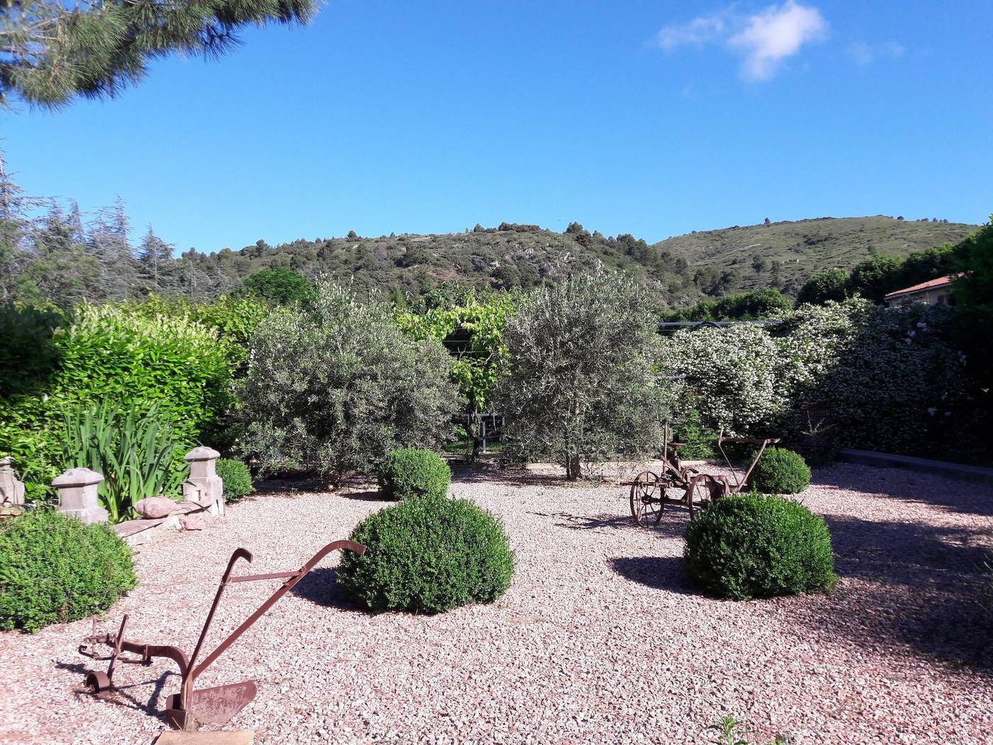 Villa Angel-France-CAUNES-MINERVOIS-General view-5