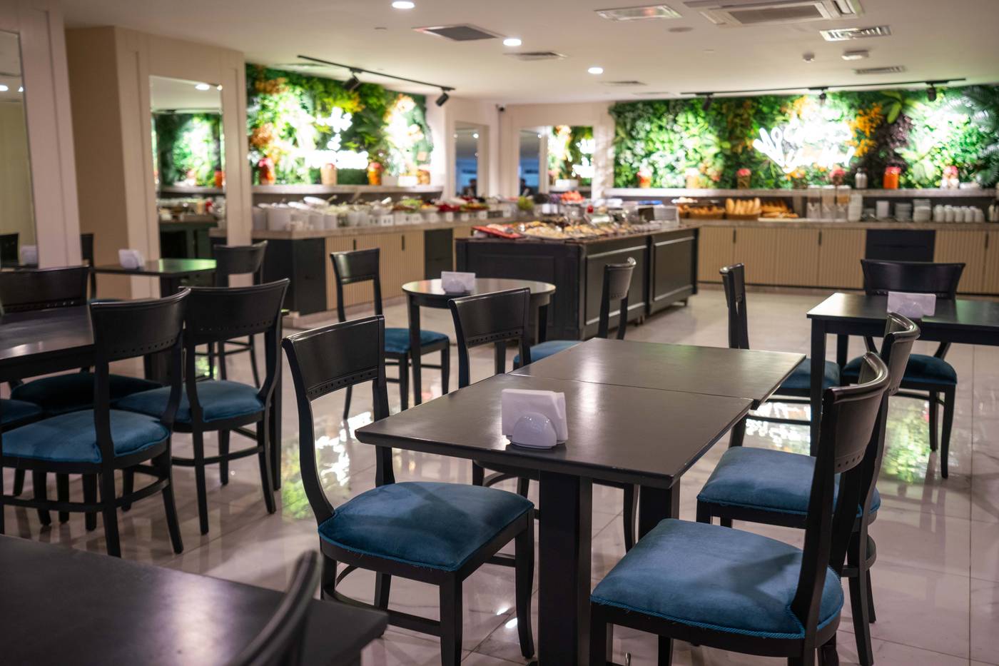 Lion-General-view-33