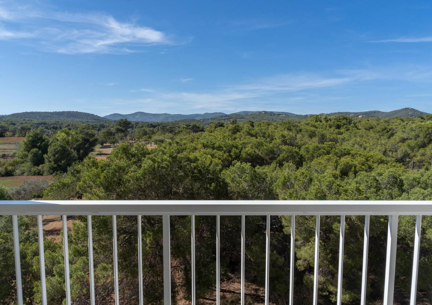 Moon Dreams Coral Beach